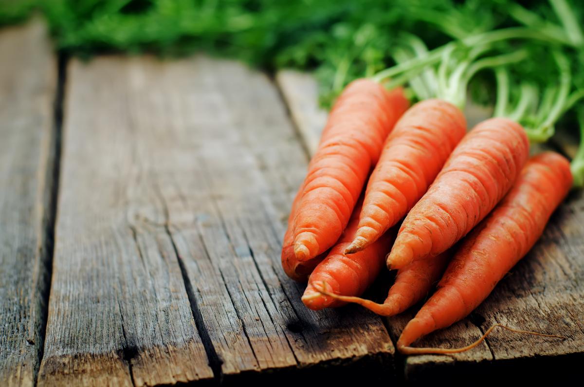 Как хранить морковь - действенные способы - Главред